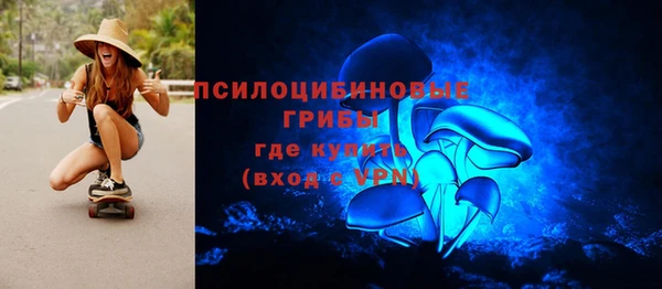 первитин Ельня