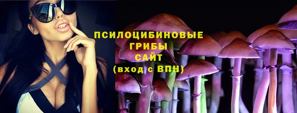 mix Елабуга