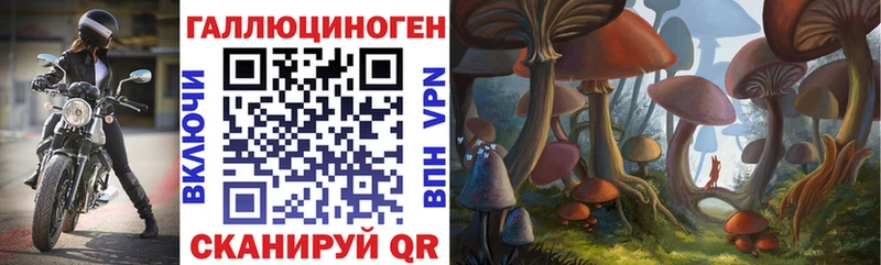 Псилоцибиновые грибы Psilocybe  Пермь 